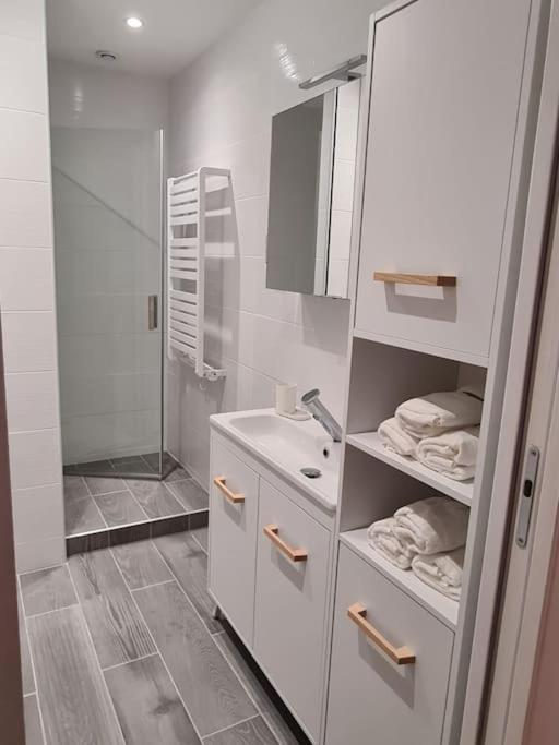 בסאנקון Elegant 2 Chambres Vieille Ville מראה חיצוני תמונה